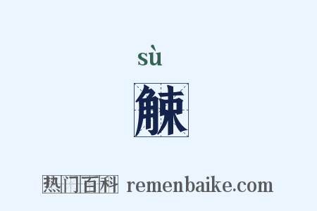 觫是什么意思的图片